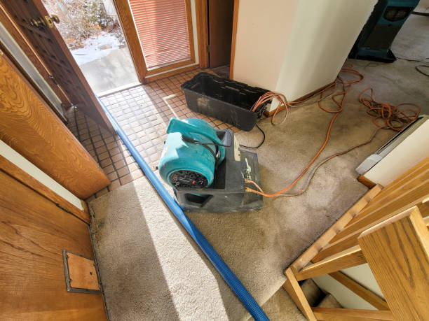 Best Flood damage cleanup  in Sonoma, CA