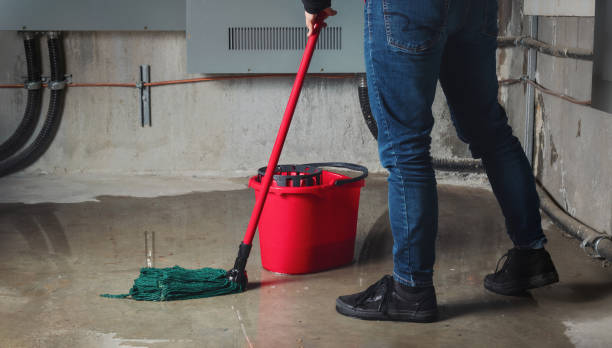 Best Water damage repair service  in Sonoma, CA