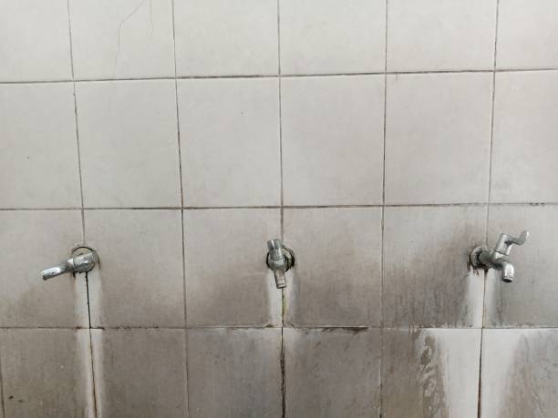 Best Water damage restoration near me  in Sonoma, CA
